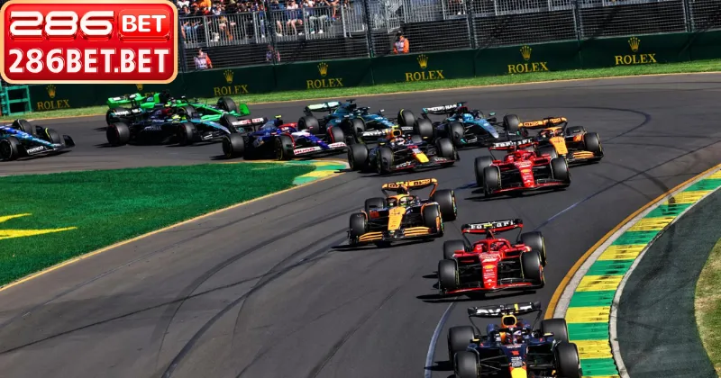 Các mẹo cược đua xe giúp dự đoán chính xác thứ hạng