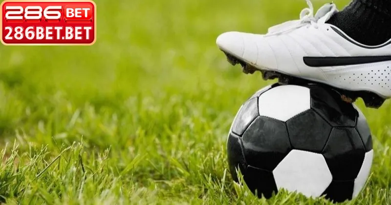 Bảng giải thích chi tiết cược chấp là gì cho người mới