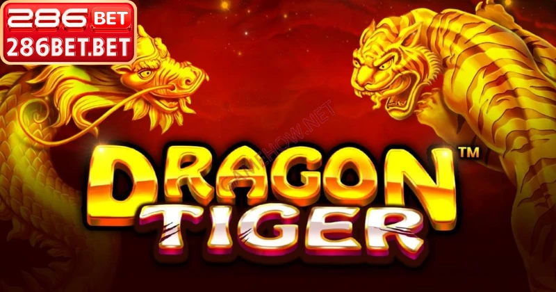 Bí kíp quản lý vốn an toàn khi chơi game rồng hổ 286bet