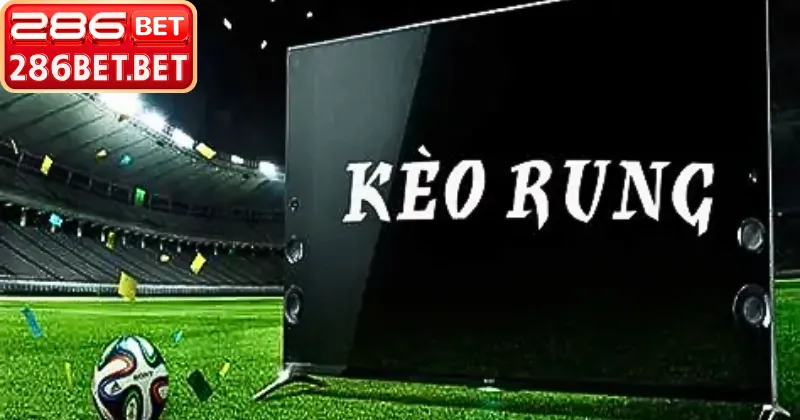 Giao diện trực quan giúp hiểu rõ kèo rung là gì