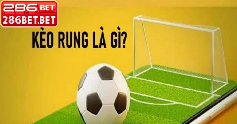 Phân tích thông số để dự đoán kèo rung là gì chính xác