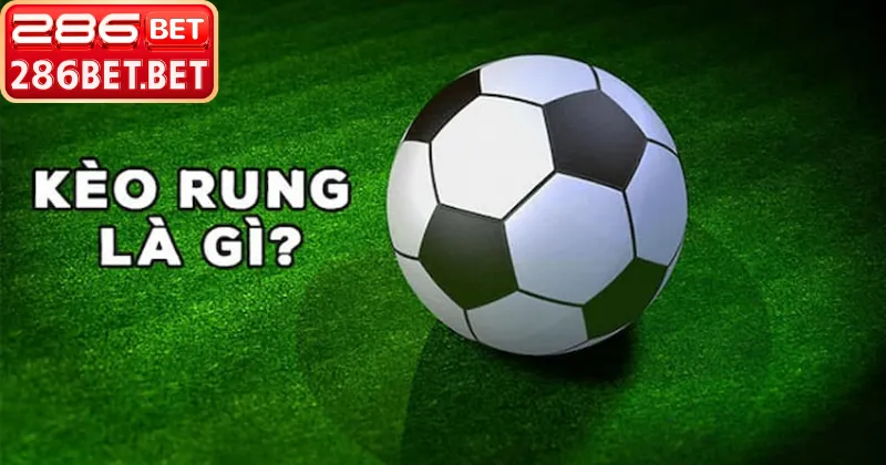 Tận hưởng niềm vui khi hiểu rõ kèo rung là gì và thắng cược