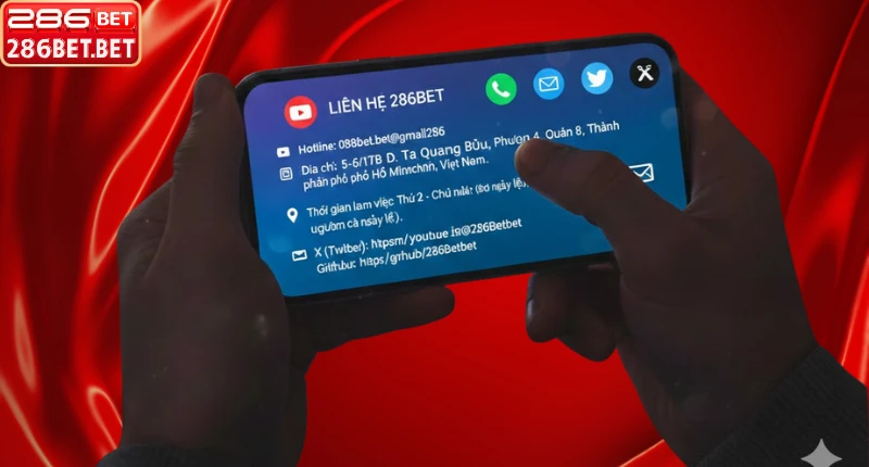 Liên Hệ 286BET – Hệ Thống Hỗ Trợ Khách Hàng 24/7 Tổng hợp các kênh liên hệ 286bet nhanh nhất 2026