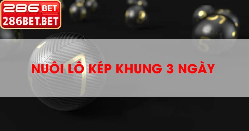 Lô Kép Khung 3 Ngày – Bí Quyết Chốt Số Xịn Nhất 2026 Niềm vui chiến thắng lô kép khung 3 ngày tại nhà cái