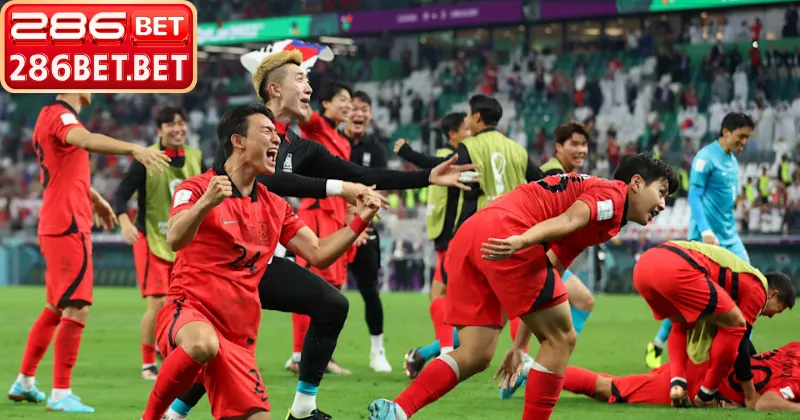 Dữ liệu thống kê tin soi kèo bóng đá chính xác nhất